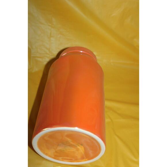 Rae Dunn Bugs & Hisses Orange Luster Finish Ceramic Canister Halloween Decor - Picture 10 of 12